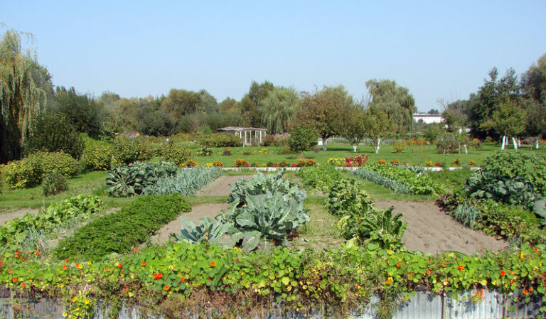 In France, Farmers Still Tend Age-Old Island Gardens