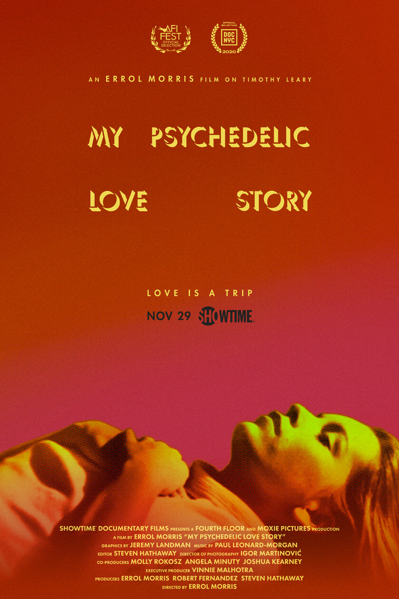 My Psychedelic Love Story Poster