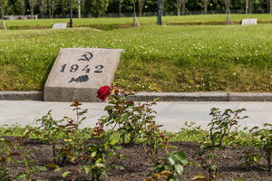 Flowers growing on a mass grave.