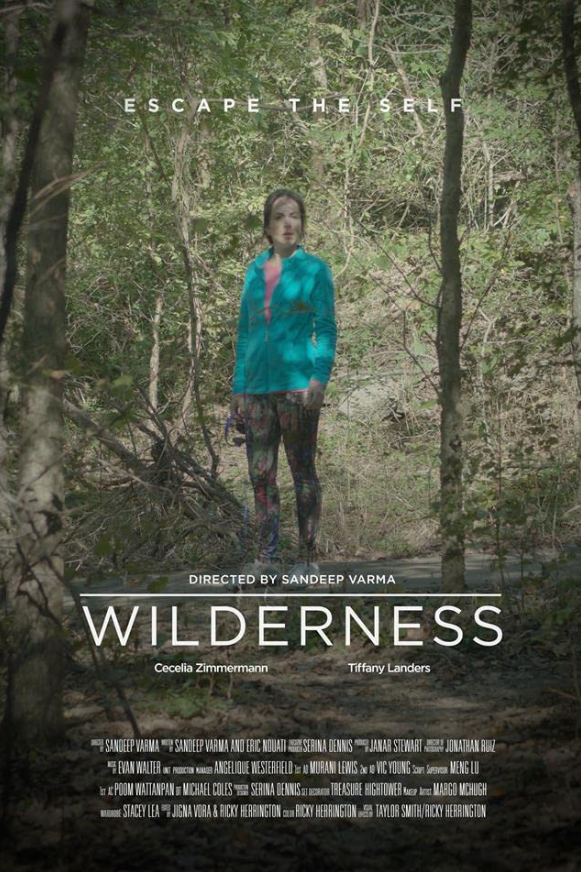 Wilderness film poster