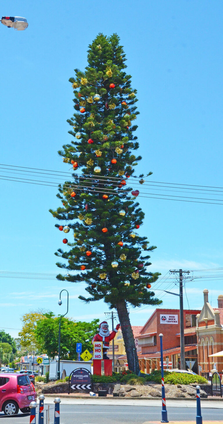 The Australian Town That Turns Trash Into Christmas Trees