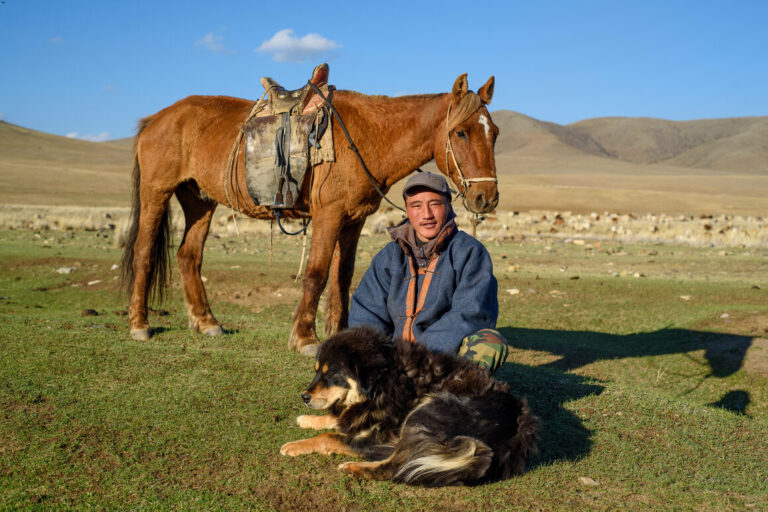 Can the Mighty Bankhar Dogs of Mongolia Save the Steppe?