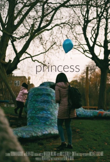 Movie Poster for Princess film