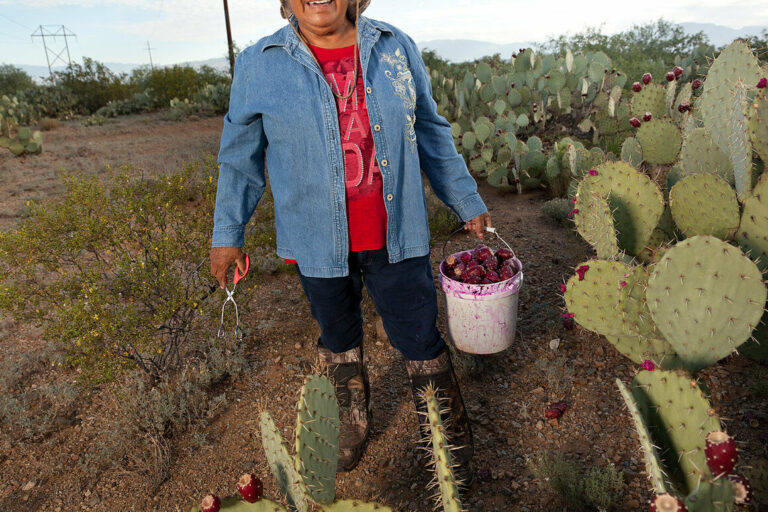 How an Arizonan Company Turns Cacti Into Candy