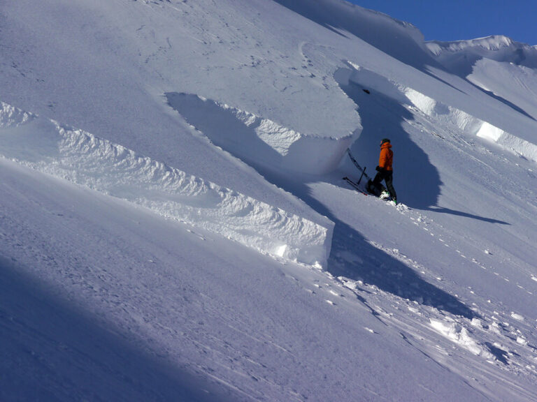 On the Slopes With Montana’s Avalanche Detectives