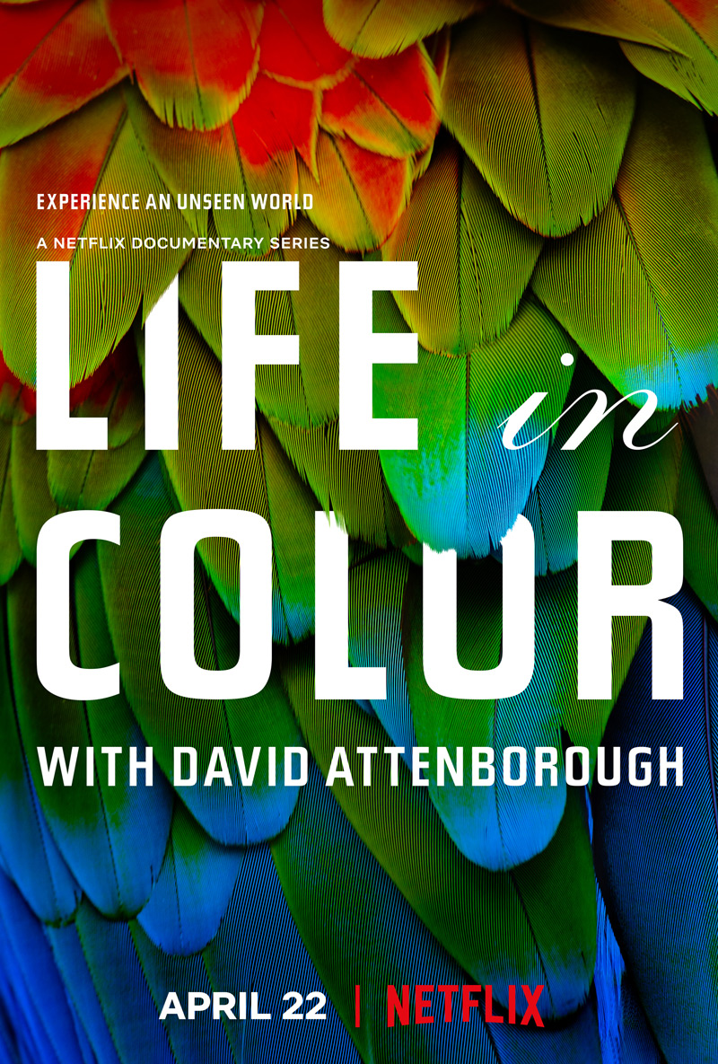 Life in Color with David Attenborough Poster