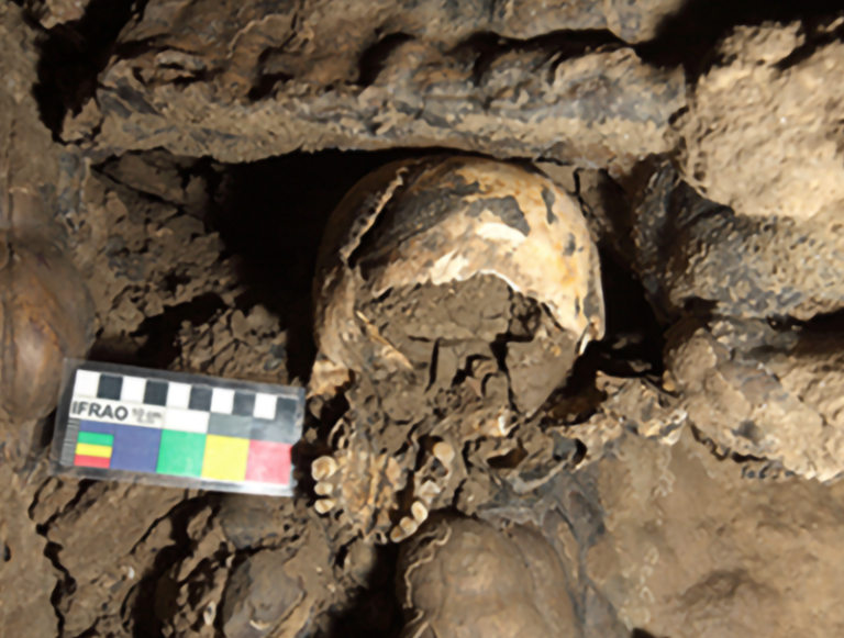 Solved: The Mystery of a Lonely Human Skull in an Italian Cave