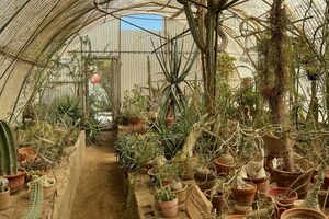 Moorten Botanical Garden and Cactarium in Palm Springs, California