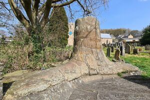 Stanhope Fossil Tree in Stanhope, England