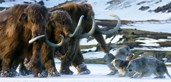 Full Trailer for ‘Life on Our Planet’ Prehistoric Animals of Earth Series