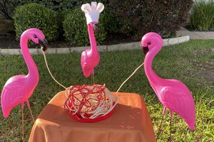 A romantic flamingo dinner.