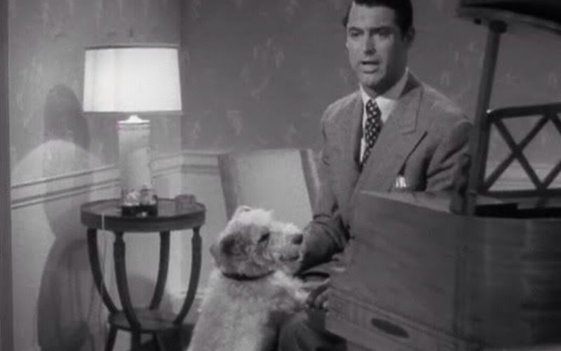 The Awful Truth Cary Grant movies