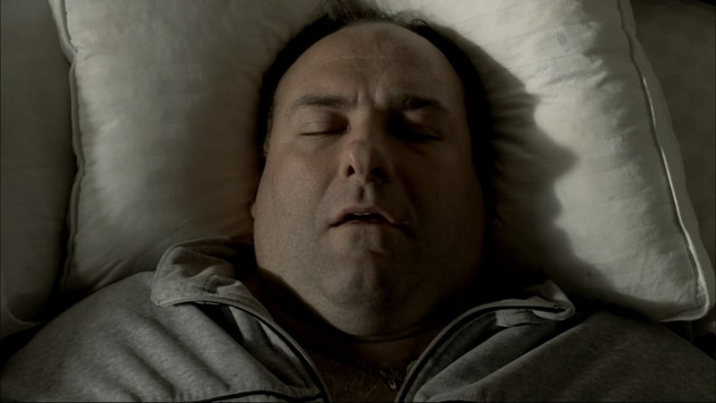 Tony Soprano sleeping